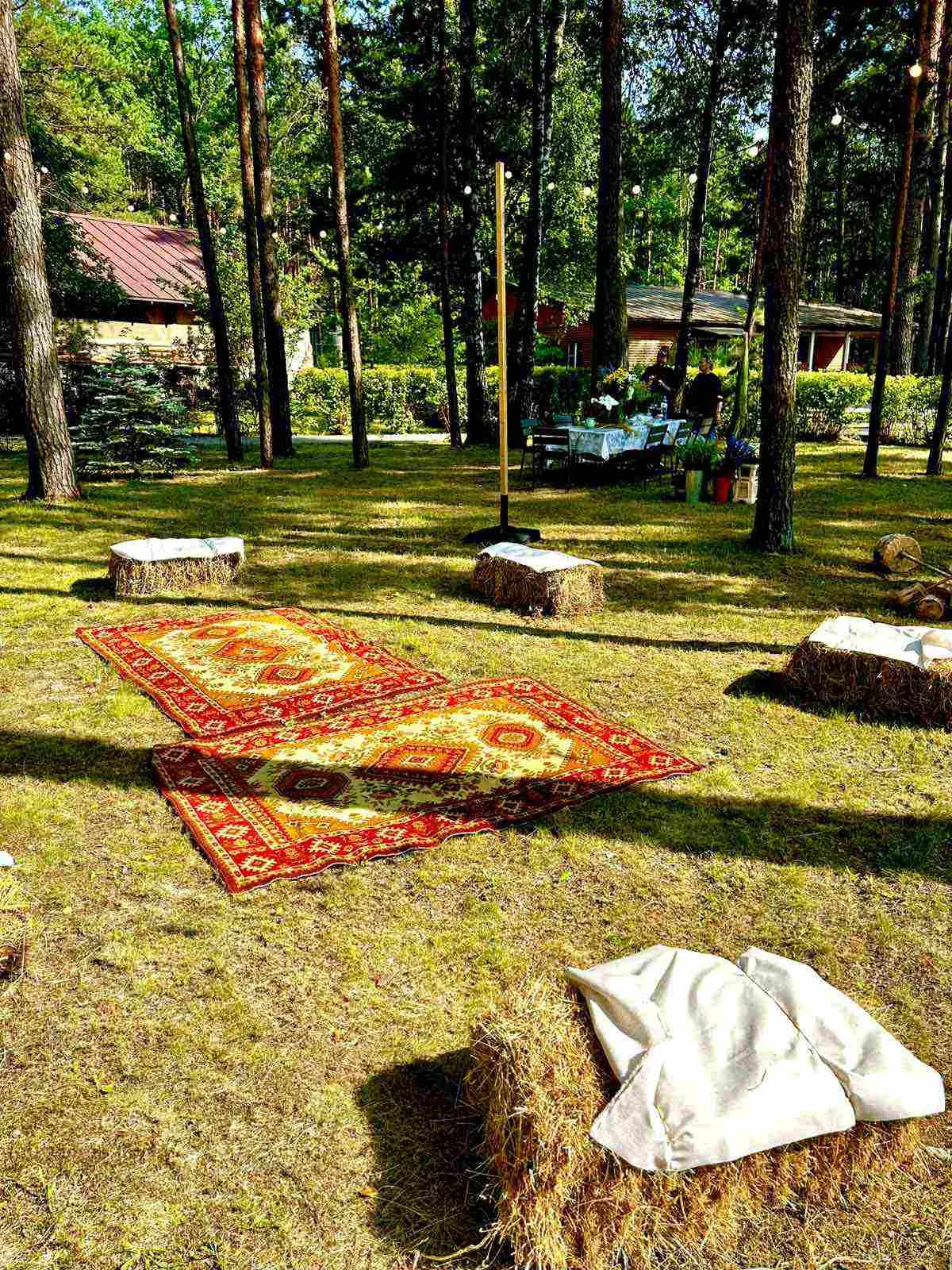 Пикник в сосновом лесу